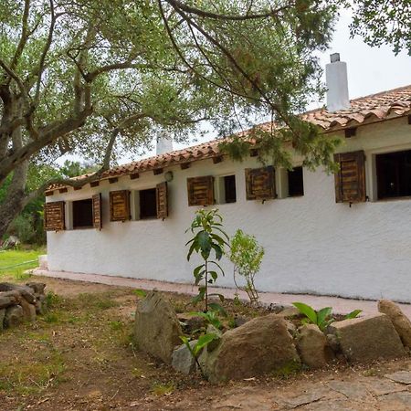 Natural Park Benalonga Guest House Porto Rotondo Exterior photo