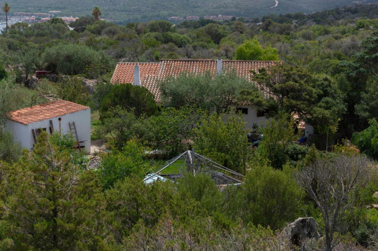 Natural Park Benalonga Guest House Porto Rotondo Exterior photo